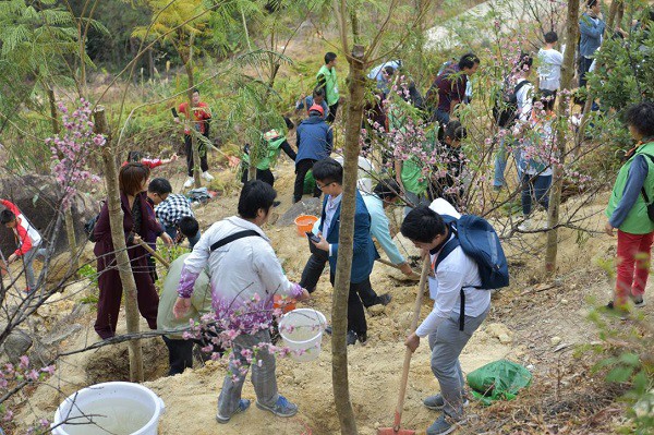 广东观音山国家森林公园